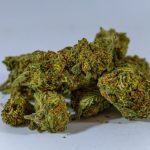 Malaga Cannabis Delivery Service img-1099.jpg