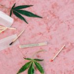 Online Cannabis Shop Montpellier