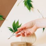 Legal THC Vapes in Nantes Premium Selection and Fast Delivery