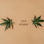 Weed Delivery Ireland Your Guide to Legal Cannabis Delivery img-1211.jpg