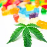 Welcome to the premier cannabis shop in Kosice – the heart of Slovakia’s growing weed dispensary scene