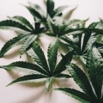 Looking for a reliable source of high‑quality THC vapes in Catania?