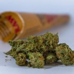 Looking to purchase high‑quality THC‑rich cannabis in the Czech Republic?