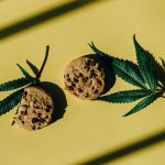 Amsterdam Cannabis Shop: Buy Legal Weed Online