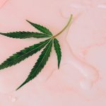 Welcome to the most trusted cannabis delivery service in Europe img-1728.jpg