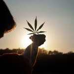 Turin Cannabis Shop: Your Guide to Legal Weed in Italy img-1952.jpg