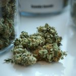 Cannabis Shop Denmark img-1999.jpg