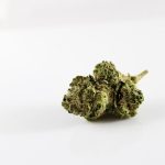 Welcome to the premier destination for THC vapes in Nice, France img-2030.jpg