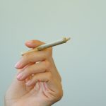 The Ultimate Bielefeld Cannabis Shop Guide img-2035.jpg