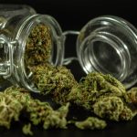 Gothenburg Cannabis Dispensary