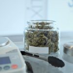 Karlsruhe Cannabis Delivery Service