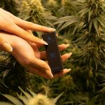 Looking to purchase high‑quality cannabis, marijuana, or hemp in Estonia?
