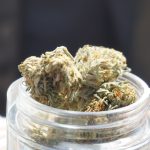 Malaga Cannabis Delivery Service