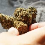Seville Hashish Guide