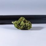 Welcome to the premier weed shop in Mannheim