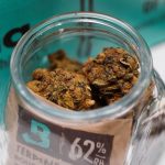 Seville Cannabis: Legal Landscape, THC Content, Hemp Cultivation, and Tourism img-2403.jpg