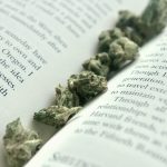 Warsaw Cannabis Shop: Your Ultimate Guide to Buying Weed, Marijuana, Hemp, THC, and Edibles in Europe