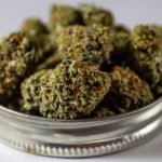Cambridge Cannabis Shop: Your Premier Destination for CBD, THC, and Hemp Products