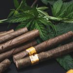 Looking for a reliable source of high‑quality THC marijuana in Kaunas?
