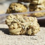 Cologne 420 Shop Your Trusted Cannabis Destination