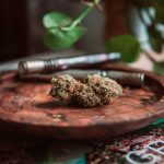 Oslo’s cannabis scene is evolving rapidly img-2765.jpg