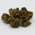 Monaco cannabis shop img-2849.jpg