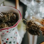 THC Vape in Greece: Legal Status, Product Range, and Buying Guide