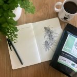 Weed Delivery Ireland Your Guide to Legal Cannabis Delivery