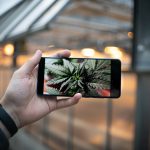 Hassle‑Free Cannabis Delivery in Malmö img-3338.jpg