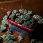 A Premier Cannabis Shop on the French Riviera