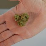 High‑Quality THC‑Rich Cannabis in Münster – Online Shop, Legal Delivery