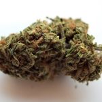 Buy Weed Europe: A Complete Guide to Buying Marijuana in the EU