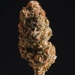 Cannabis in Romania: Legal Status, Ordering, Delivery, and Service