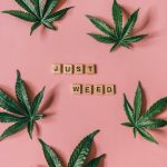 Welcome to the most trusted cannabis delivery service in Europe