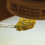 Cannabis Shop Hanover Your One-Stop Destination for Quality Cannabis Products