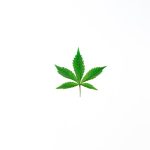 Welcome to the most trusted cannabis dispensary in Ljubljana