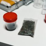 Valencia Cannabis Market Overview img-628.jpg