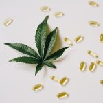 Cannabis Dispensary Geneva: Your Ultimate Guide to Premium Strains, Edibles, and More img-868.jpg