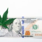 Munich Cannabis Shop: Your Guide to Legal Cannabis Shopping