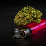 Alicante a jewel on Spain’s Costa Blanca is quickly becoming a hotspot for cannabis enthusiasts